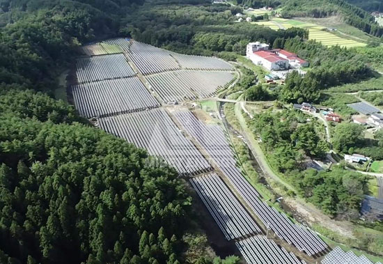 春回大地，oety欧亿体育见证日本福岛重焕生机